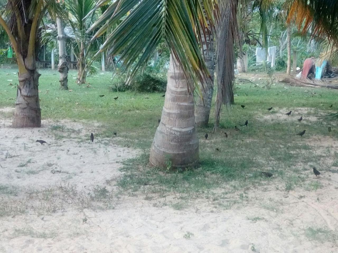 Beach Lagoon Guesthouse Tangalle Exterior foto