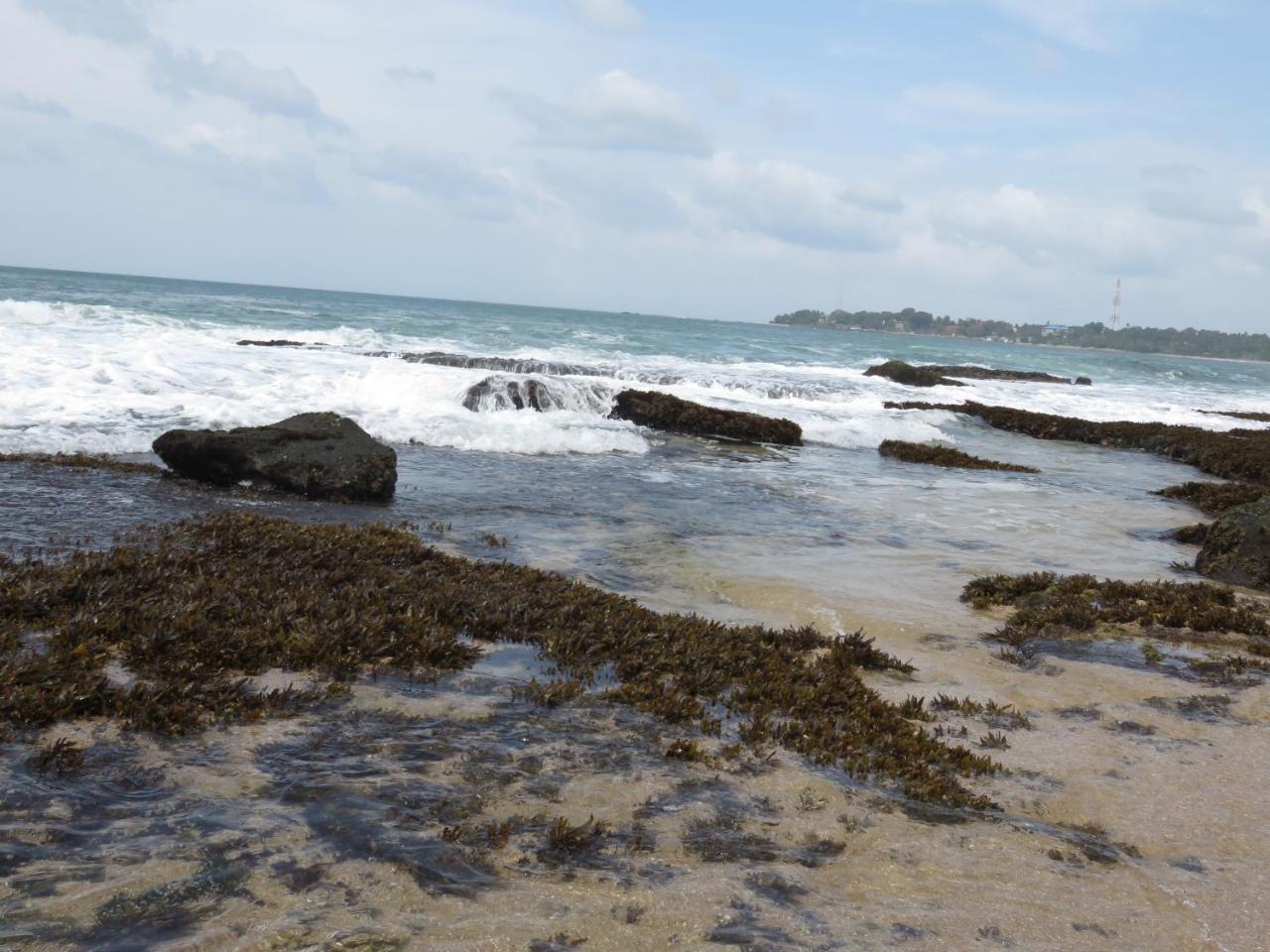 Beach Lagoon Guesthouse Tangalle Exterior foto