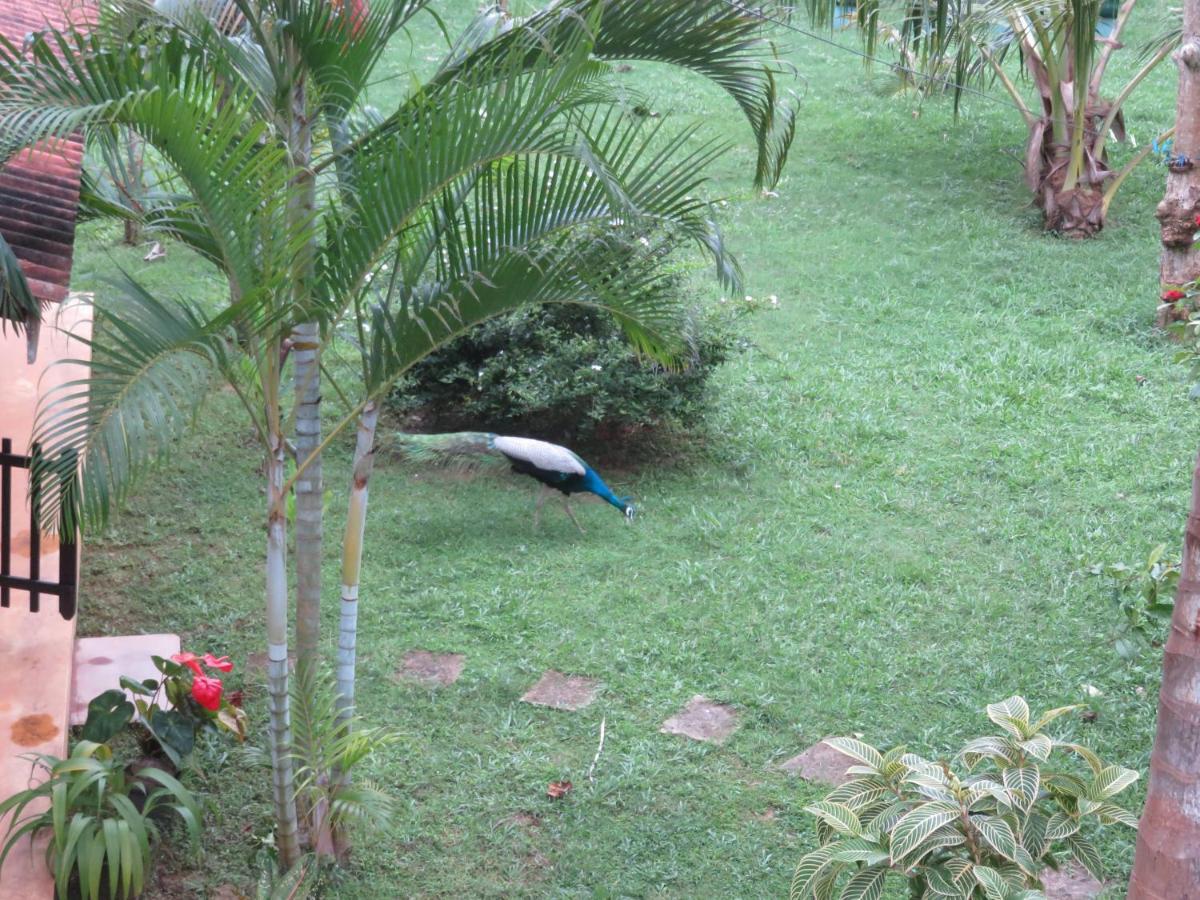 Beach Lagoon Guesthouse Tangalle Exterior foto